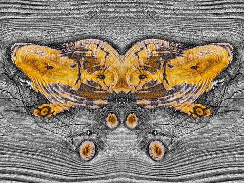 Verweerd hout in close-up