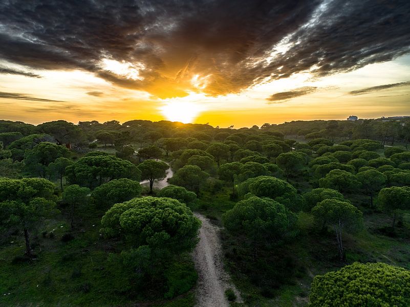 Soleil couchant avec un couvert dramatique par ross_impress