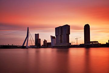 A 'Brand New Day' Rotterdam van David Bleeker