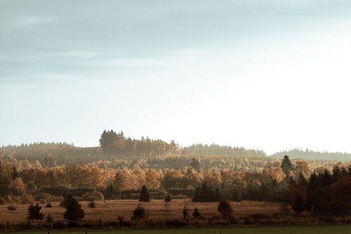 Herfstig heuvellandschap in zacht ochtendlicht