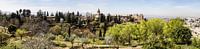 Panorama der Alhambra in Granada von René Weijers Miniaturansicht
