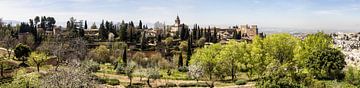 Panorama van het Alhambra in Granada van René Weijers