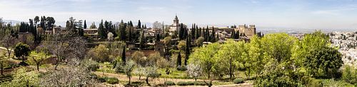Alhambra - panorama