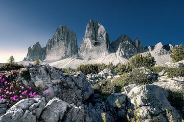 Die drei Zinnen in den Dolomiten an einem klaren Sommertag