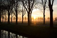 Goedemorgen Rosmalen van Martijn Aalbers thumbnail