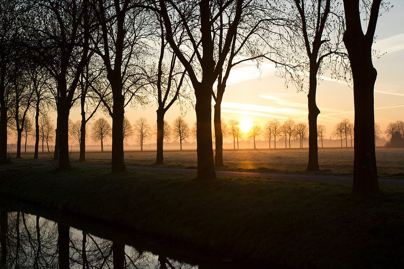 Goedemorgen Rosmalen van Martijn Aalbers