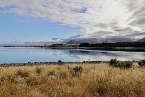 Lake Tekapo, New Zealand