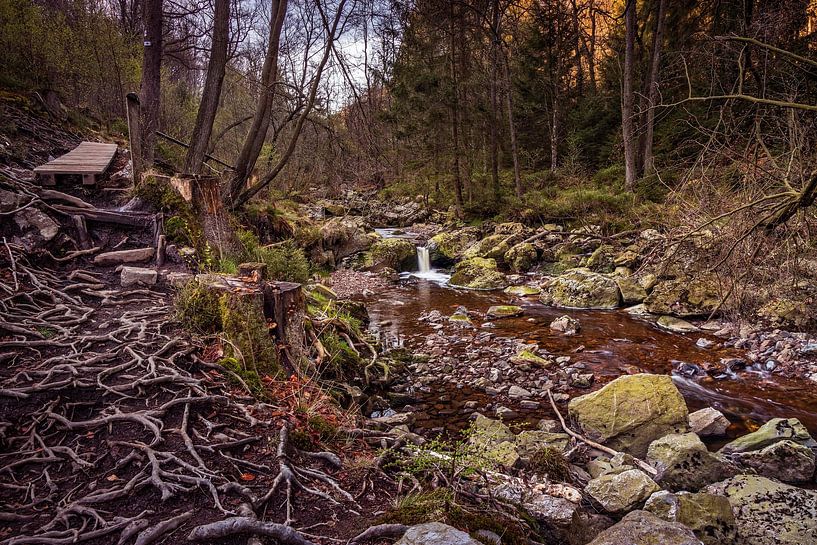 Mountain river La Hoëgne in the Belgian Ardennes by Rob Boon