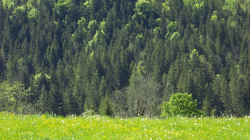 Landscape in the Alps by Bo Valentino