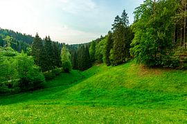 Summer cycle tour through the Schmalkalden countryside to Werratal near Fambach - Thuringia - Germany