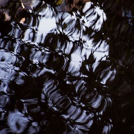 Reflectie in het water von Godelieve Luijk