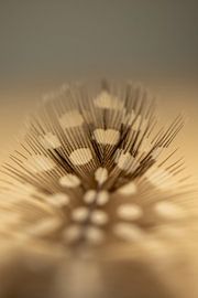 Dreary Feather by simone swart