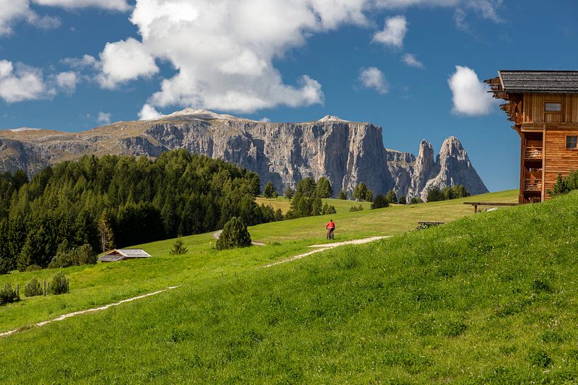 Seiser Alm von Tilo Grellmann