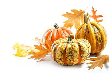 Voedselpompoenen of pompoenen en gekleurde herfstbladeren, wenskaart voor Halloween of Thanksgiving  van Maren Winter