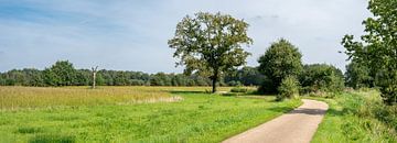 Out and about at the Be-Mine site in Beringen, Belgium by Werner Lerooy