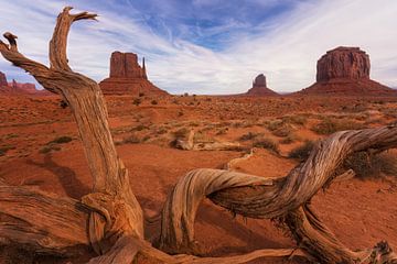 De wanten van Monument Valley