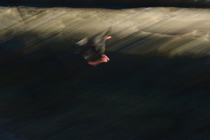 Seabird blurred in front of a rock wall by Olaf Franke