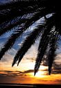 Zonsondergang op een tropisch strand van Paul Teixeira thumbnail