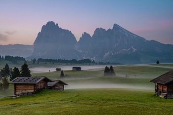 Alpe di Siusi with ground fog