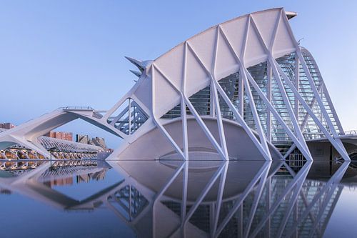 wetenschapsmuseum Valencia tijdens het blauwe uurtje