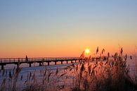 Morgenstimmung im Winter von Ostsee Bilder Miniaturansicht