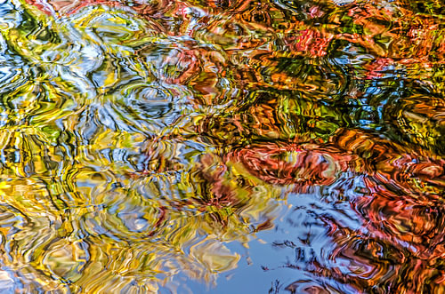 Autumn Reflection