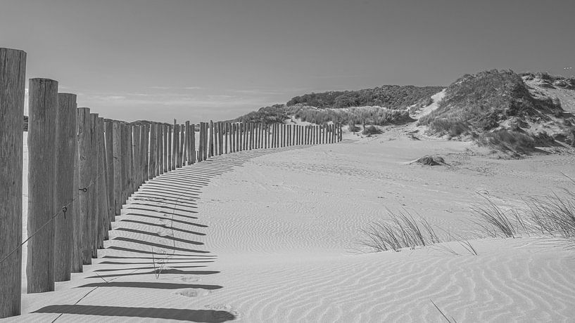Kennemerduinen, North Holland by Peter Bartelings
