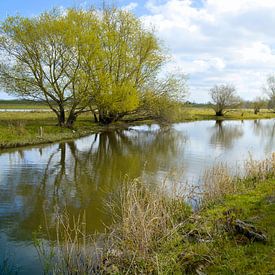 Fluss IJssel bei Zwolle von Greta Lipman