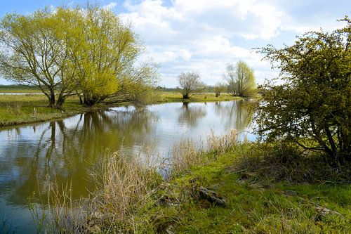 Rivier de IJssel bij Zwolle