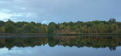 Holtingerveld - Drenthe (Pays-Bas)