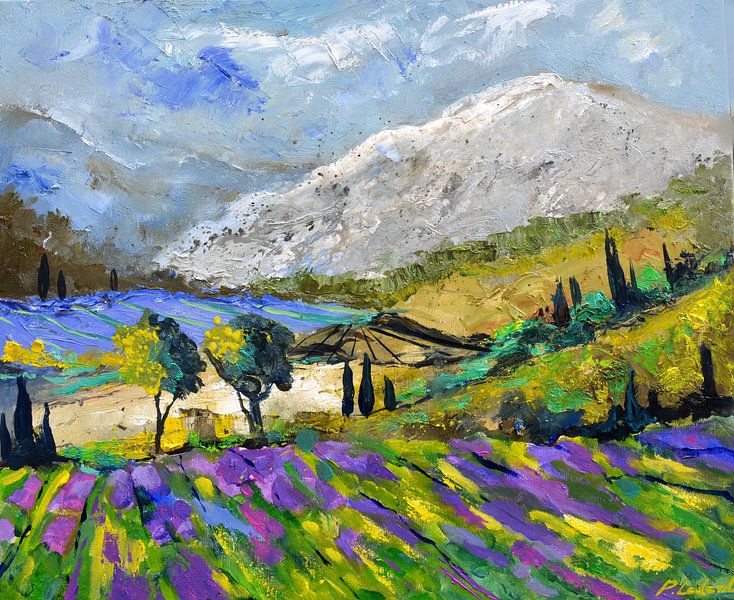 Lavender in Provence by pol ledent