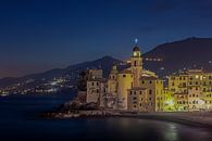 Camogli de nuit par Annette Roijaards Aperçu