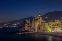 Camogli by Night
