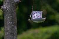 Teetasse zum Baum