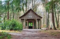 Die Hütte im Wald von Henrico Fotografie Miniaturansicht