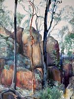 Aarde en de natuur vuur steen