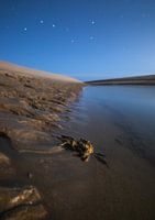 Noordzee krab en grote beer.