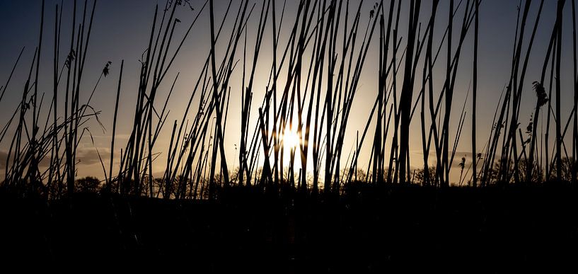 Lever de soleil à Milheeze par Huub de Bresser
