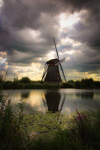 Molen in Kinderdijk