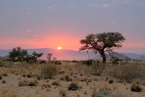 Sonnenaufgang/ Sonnenaufgang von Marijke van Noort