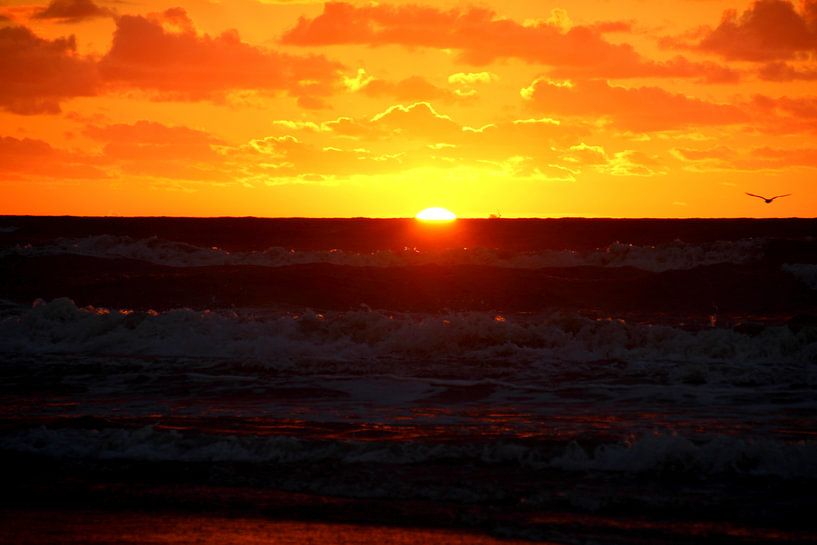 Golden sunset by Geert Heldens