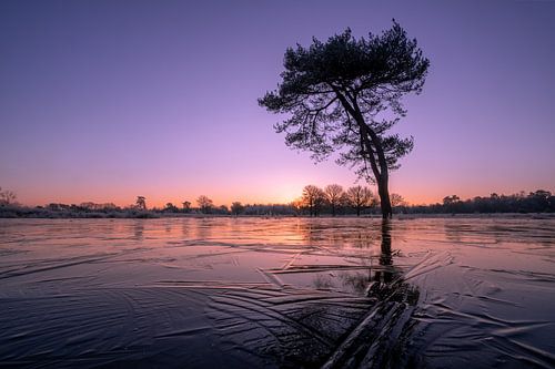 De magie van de winter
