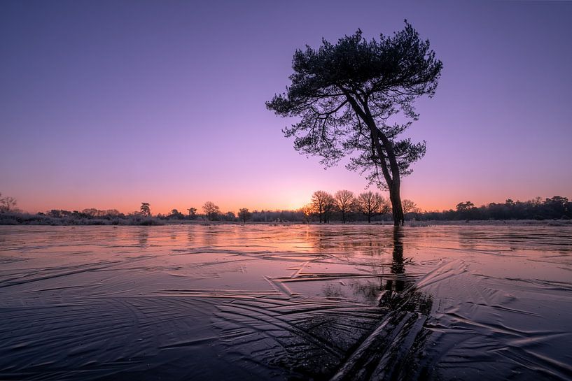 The magic of winter by Moetwil en van Dijk - Fotografie