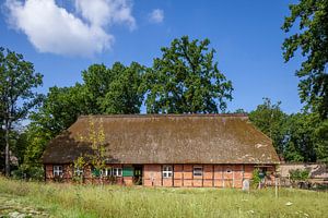 Historisches Bauernhaus, Wilsede, Lüneburger Heide, Niedersachsen, Deutschland