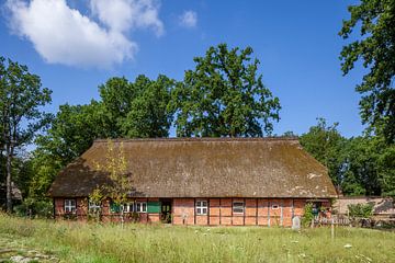 Historische boerderij, Wilsede, Lüneburger Heide, Nedersaksen, Duitsland