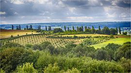 Dutch Tuscany by Judith Reinders-Peters