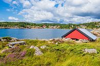 Landschaft auf der Schäreninsel Skjernøya in Norwegen von Rico Ködder Miniaturansicht