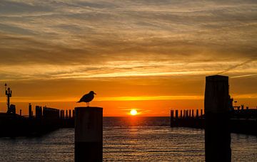 Havenmond Oudeschild van Johannes Stouten