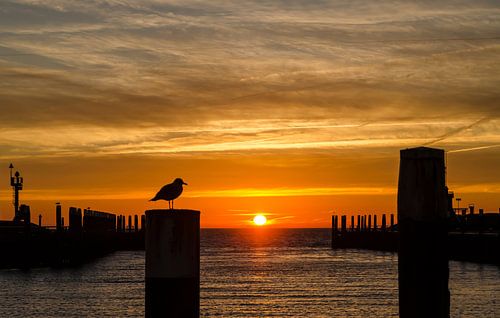 Havenmond Oudeschild