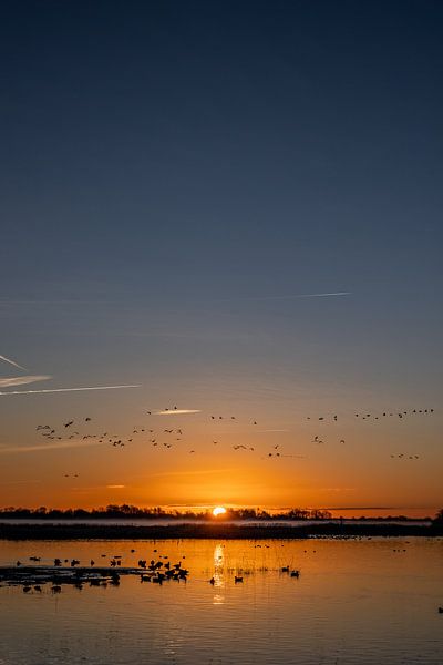 Sunrise by the water by Lydia